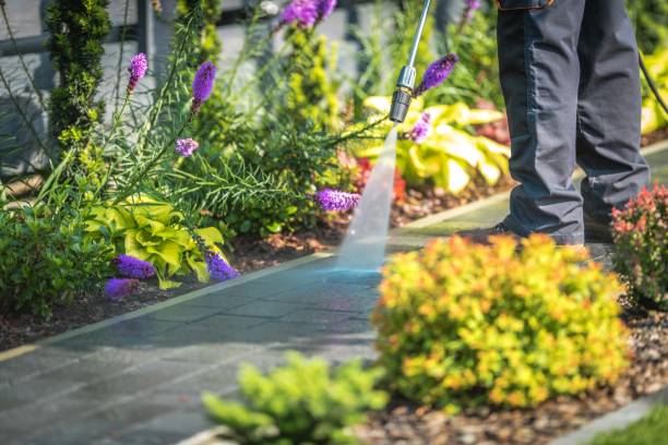 Best Fence Cleaning and Maintenance in Farmers Branch, TX